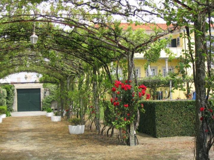ויאנה דו קסטלו Casa/Apartamento De Hospedes מראה חיצוני תמונה